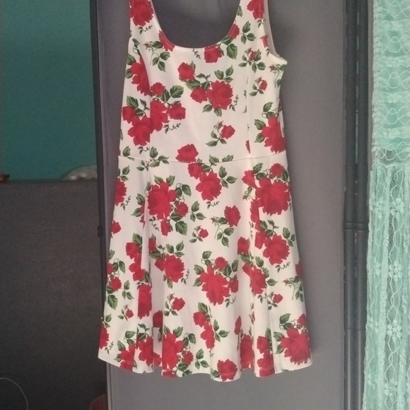 Clothes - Picture 7 of 12